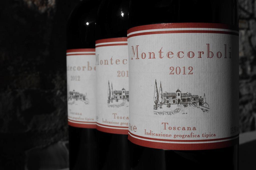 Agriturismo Montecorboli 바르베리노 디 발 델사 외부 사진