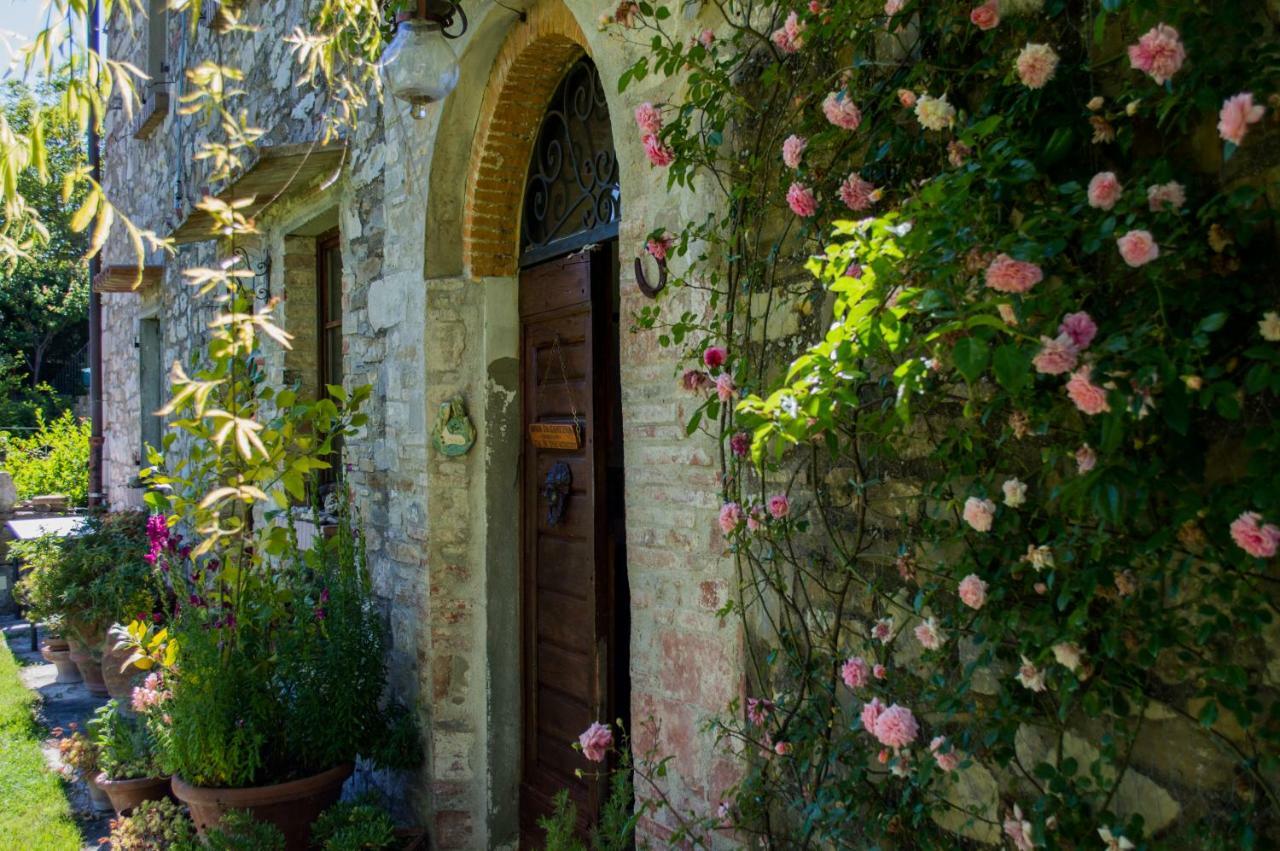 Agriturismo Montecorboli 바르베리노 디 발 델사 외부 사진